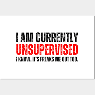 i am currently unsupervised. I know, it's freaks me out too Posters and Art